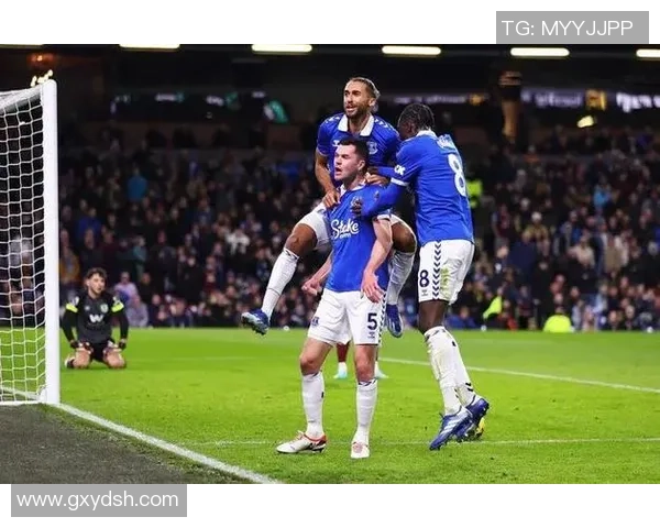 狼队与埃弗顿激战正酣在线直播全程回顾与精彩瞬间解析